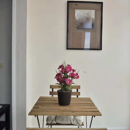 公寓 Apartamento Calle Argentina *